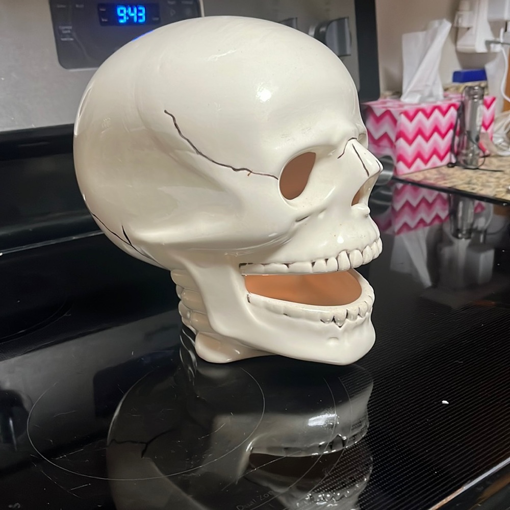 🌺Handmade skeleton head